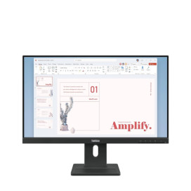 Монитор Lenovo ThinkVision E24-40 23.8