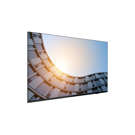 Монитор Lenovo ThinkVision E65 LFD 64.5