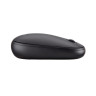 Мишка Acer Wireless Bubble Mouse - GP.MCE11.034