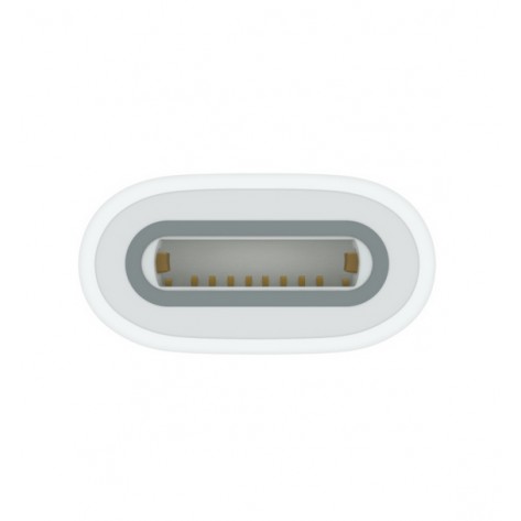 Адаптер Apple USB-C to Apple Pencil Adapter - MQLU3ZM/A