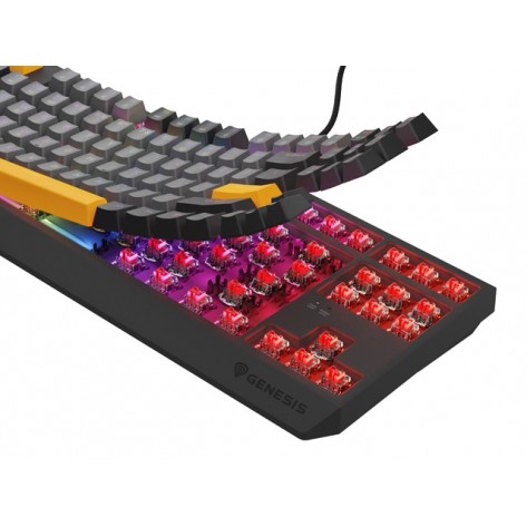 Клавиатура Genesis Gaming Keyboard Thor 230 TKL Anchor Gray Negative US RGB Mechanical Outemu Red - NKG-2082