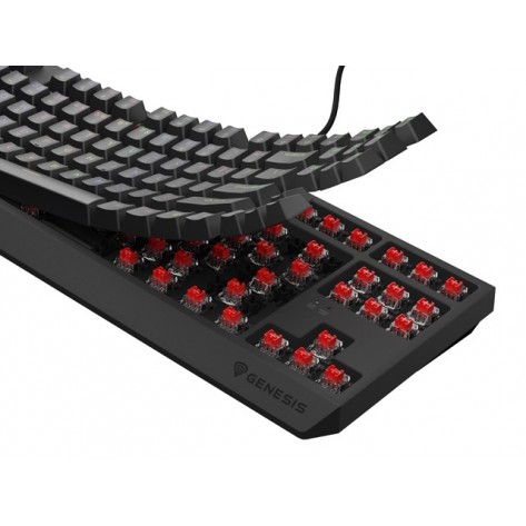 Клавиатура Genesis Gaming Keyboard Thor 230 TKL US RGB Mechanical Outemu Red Black Hot Swap - NKG-2077