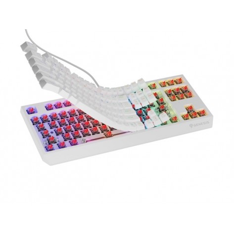 Клавиатура Genesis Gaming Keyboard Thor 230 TKL US RGB Mechanical Outemu Red White Hot Swap - NKG-2078