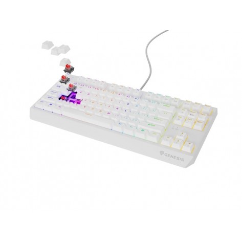 Клавиатура Genesis Gaming Keyboard Thor 230 TKL US RGB Mechanical Outemu Red White Hot Swap - NKG-2078