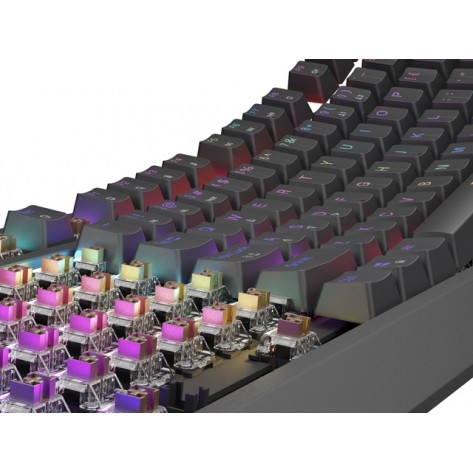 Клавиатура Genesis Gaming Keyboard Thor 230 TKL US RGB Mechanical Outemu Brown Black Hot Swap - NKG-2079