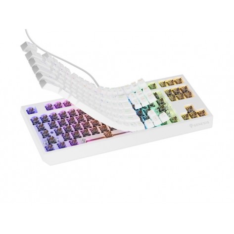 Клавиатура Genesis Gaming Keyboard Thor 230 TKL US RGB Mechanical Outemu Brown White Hot Swap - NKG-2080