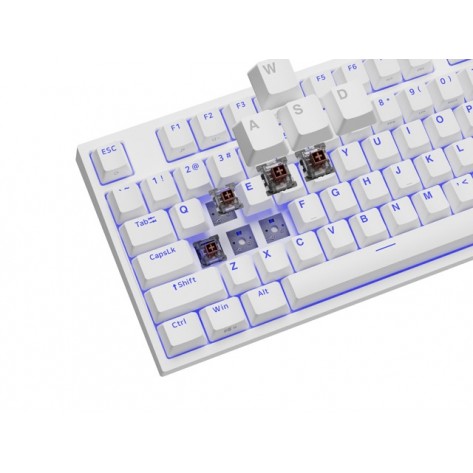 Клавиатура Genesis Gaming Keyboard Thor 404 TKL White RGB Backlight US Layout Brown Switch - NKG-2072