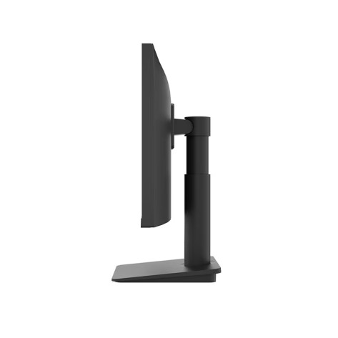 Монитор LG 24MS550-B - 24MS550-B