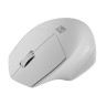 Мишка Natec Mouse Siskin Wireless 1600DPI 2.4GHz + Bluetooth 5.0 Optical White - NMY-1972