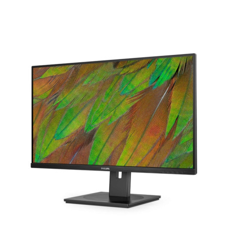Монитор Philips 32B1N3800 - 32B1N3800/00