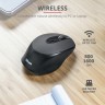 Мишка TRUST Zaya Wireless Rechargeable Mouse Black - 23809