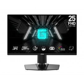 MSI G255PF E2