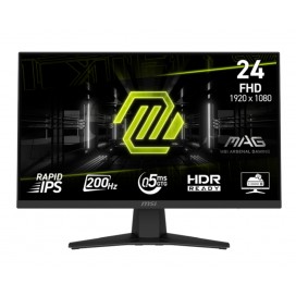 MSI MAG 244F