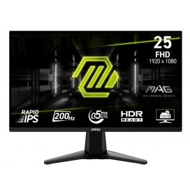 MSI MAG 255F E20