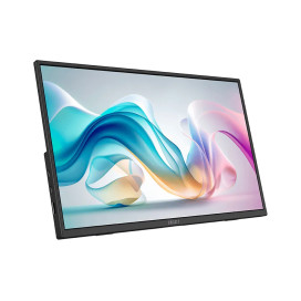 Монитор MSI PRO MP165 E6 Portable Monitor - 9S6-3PE50M-001