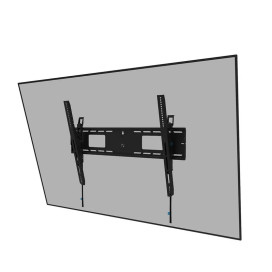 Neomounts Level-750 Wall Mount 