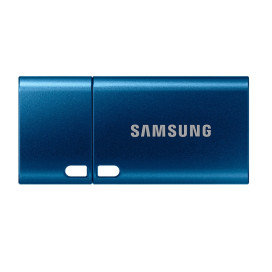 Samsung 256 GB Flash Drive Samsung 256 GB Flash Drive