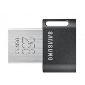 Samsung 256GB MUF-256AB Gray USB 3.1 Samsung 256GB MUF-256AB Gray USB 3.1