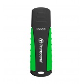 Памет Transcend 256GB - TS256GJF810