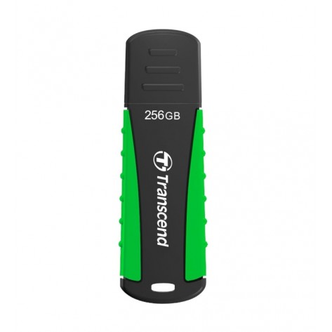Памет Transcend 256GB - TS256GJF810