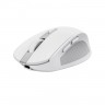 Мишка TRUST Ozaa Compact Wireless Mouse white - 24933