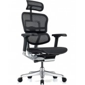 Ергономичен стол Antares - ERGOHUMAN 2 ELITE, черен