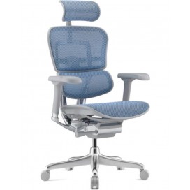 Ергономичен стол Antares - ERGOHUMAN 2 ELITE GREY, син