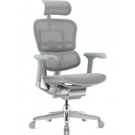 Ергономичен стол Antares - ERGOHUMAN 2 ELITE GREY, сив