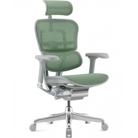 Ергономичен стол Antares - ERGOHUMAN 2 ELITE GREY, зелен