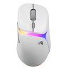 Гейминг мишка Glorious - D3, оптична, безжична,  RGB, черна