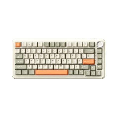 Механична клавиатура AJAZZ – AK820 Max, безжична, Flying Fish, RGB, Retro Beige