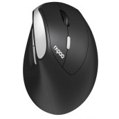 Мишка Rapoo - EV250, оптична, безжична, черна/сребриста Мишка Rapoo - EV250, оптична, безжична, черна/сребриста