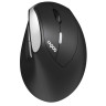 Мишка Rapoo - EV250, оптична, безжична, черна/сребриста