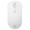 Мишка SBOX - WM-852U, оптична, безжична, бяла