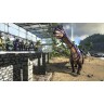 Игра ARK: Survival Evolved за PlayStation 4