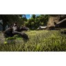 Игра ARK: Survival Evolved за PlayStation 4