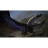 Игра Dragon's Dogma Dark Arisen - HD за PlayStation 4