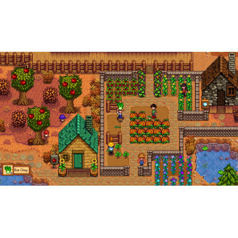 Игра Stardew Valley за Nintendo Switch