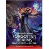 Допълнение за ролева игра Dungeons & Dragons RPG Forgotten Realms: Adventures in Faerun - Dungeon Master Expansion