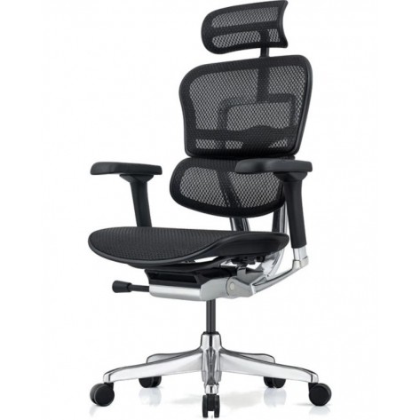 Ергономичен стол Antares - ERGOHUMAN 2 ELITE, черен