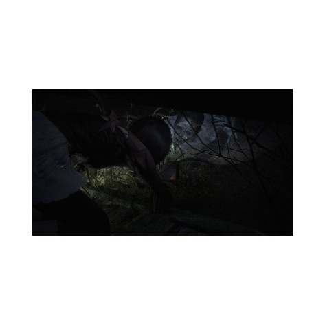 Игра Fatal Frame II: Crimson Butterfly Remake за PlayStation 5