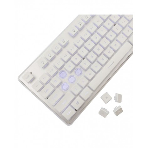 Гейминг клавиатура White Shark - TACHI, White LED, бяла