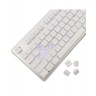 Гейминг клавиатура White Shark - TACHI, White LED, бяла