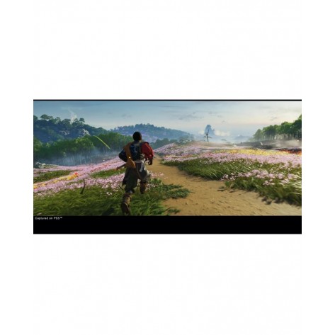 Игра Ghost of Tsushima - Director's Cut за PlayStation 4