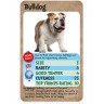 Игра с карти Top Trumps: Dogs - Детска