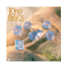 Комплект зарове Q-Workshop - The Lord of the Rings: Rivendell, Water (7 бр.)