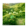 Комплект зарове Q-Workshop - The Lord of the Rings: Shire Dice Set (7 бр.)