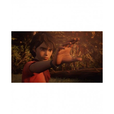 Игра Life Is Strange 2 - Код в кутия за Nintendo Switch