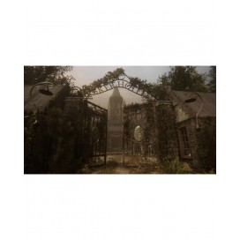 hover image