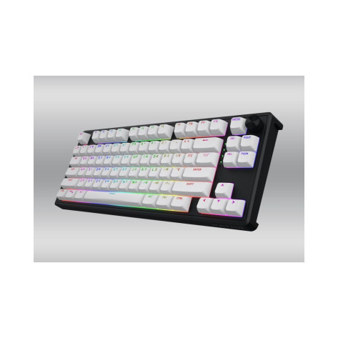Механична клавиатура Hator - Skyfall 80 MAG ULTRA 8K, Aurum Ice Magnetic, RGB, черна/бяла